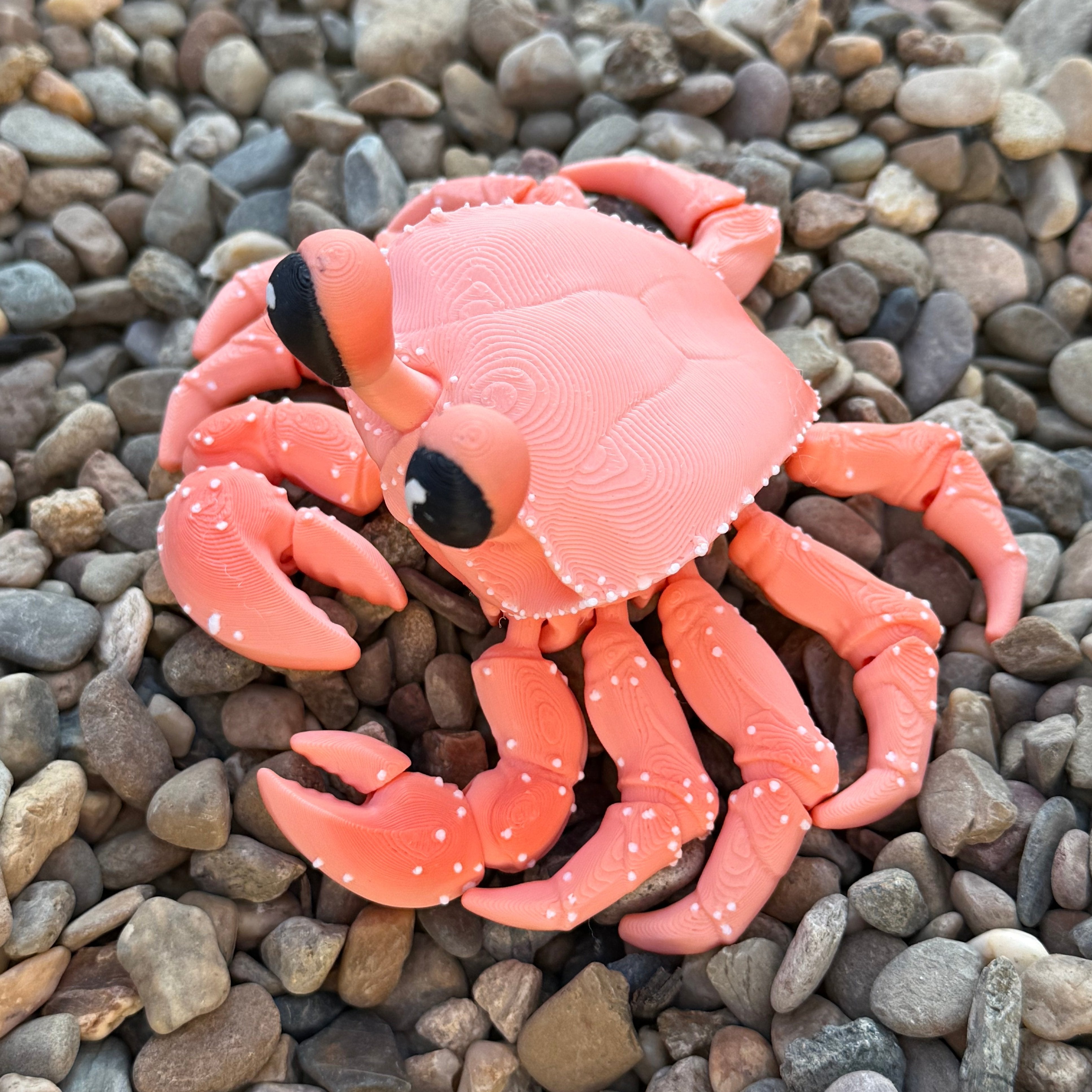 Crab