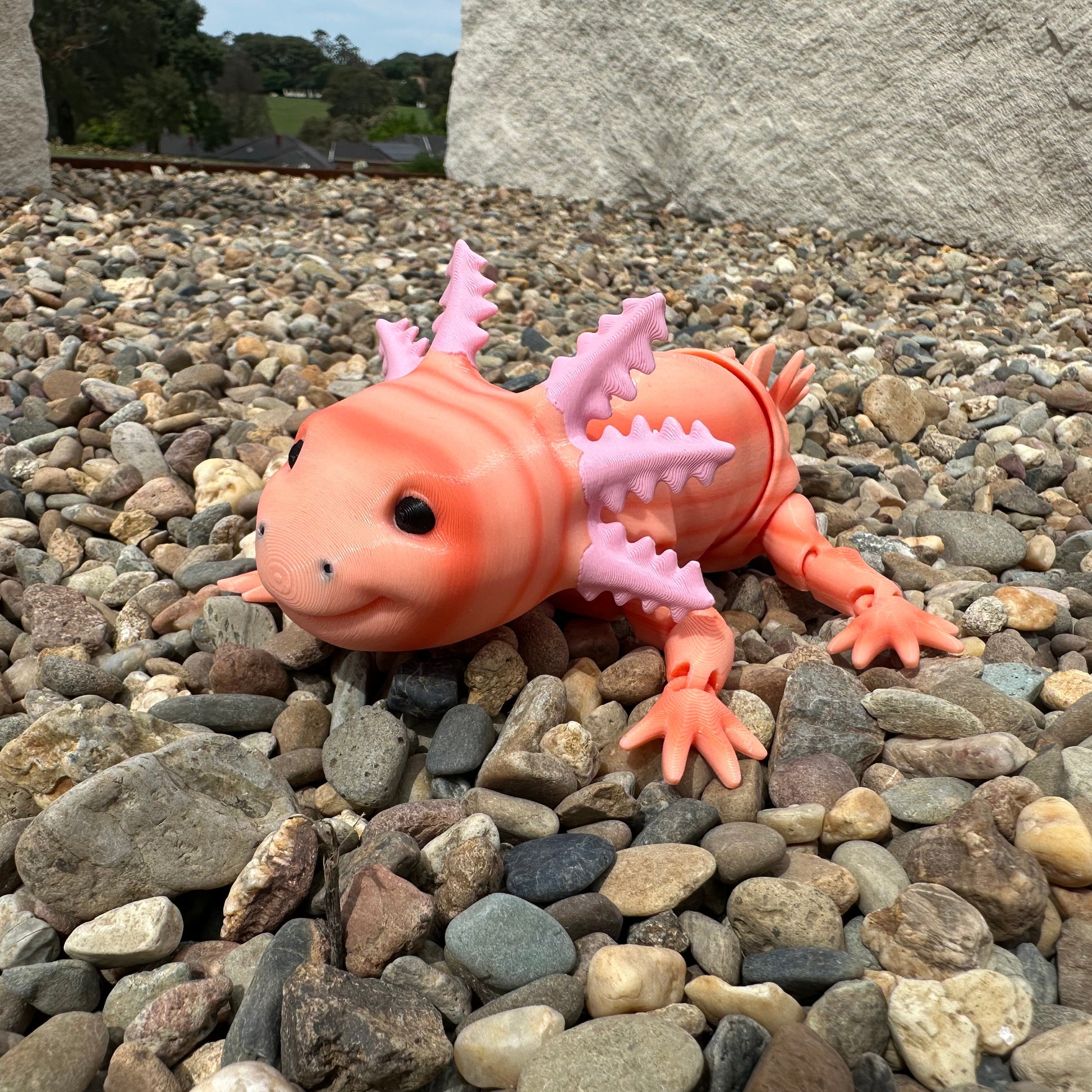 Axolotl
