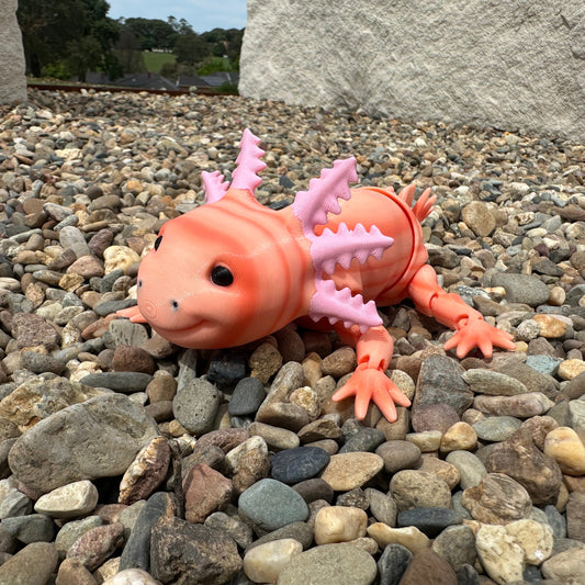 Axolotl