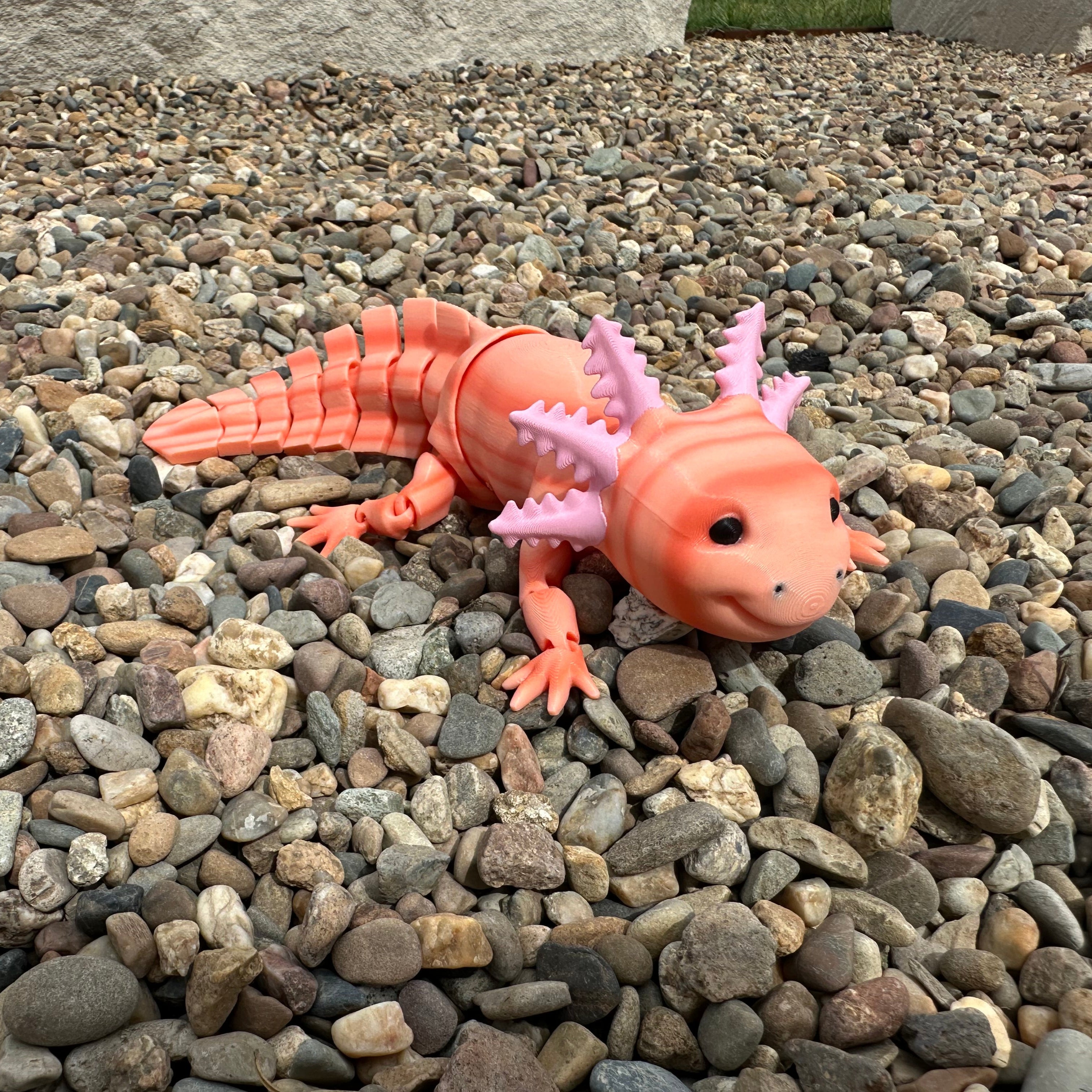 Axolotl