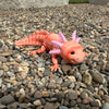 Axolotl