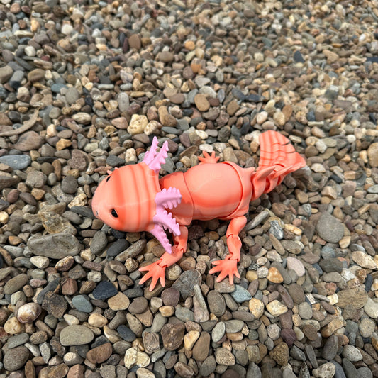 Axolotl