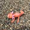 Axolotl