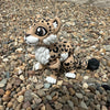 Snow Leopard