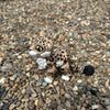 Snow Leopard