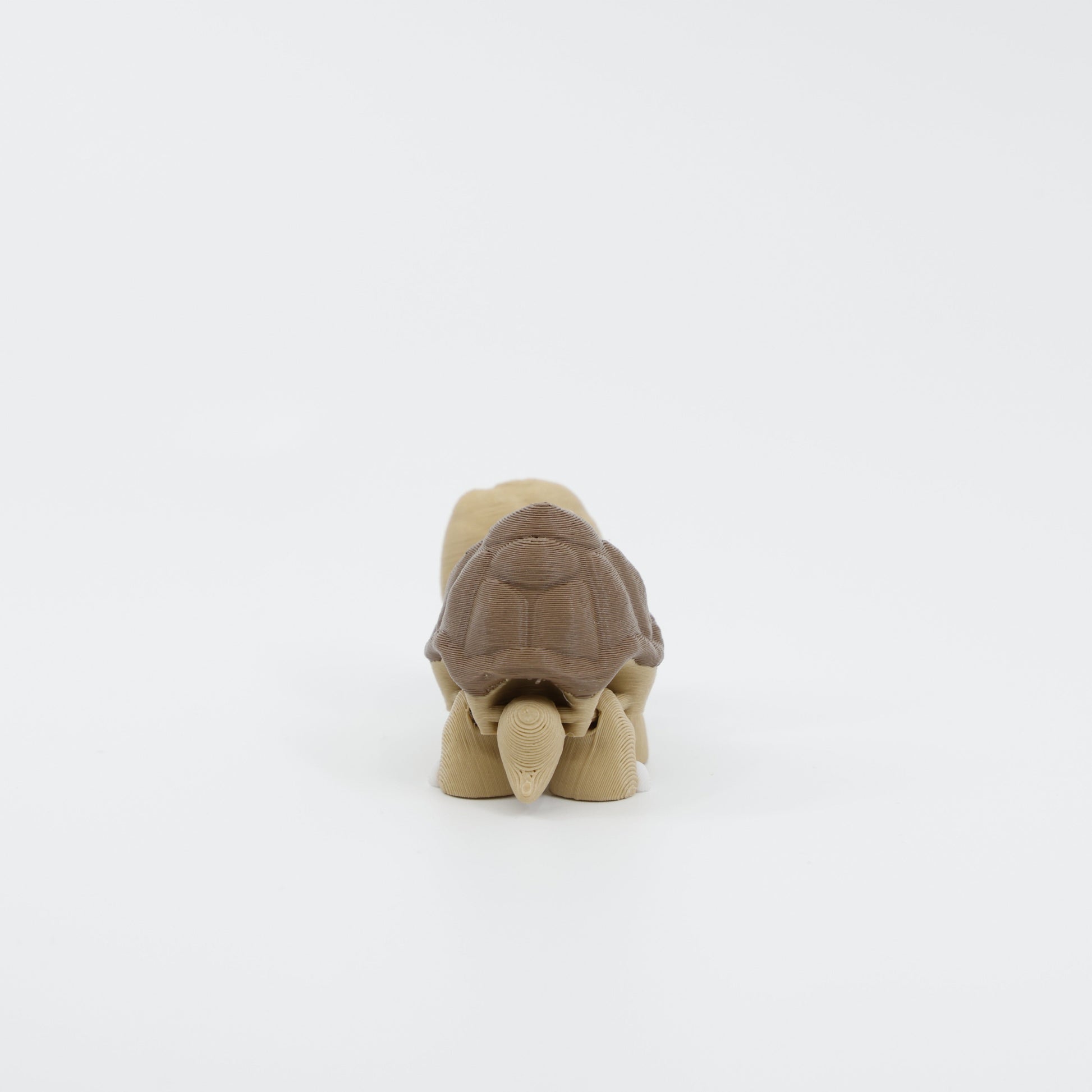 Back view of 3D printed mini tortoise fidget showcasing textured shell