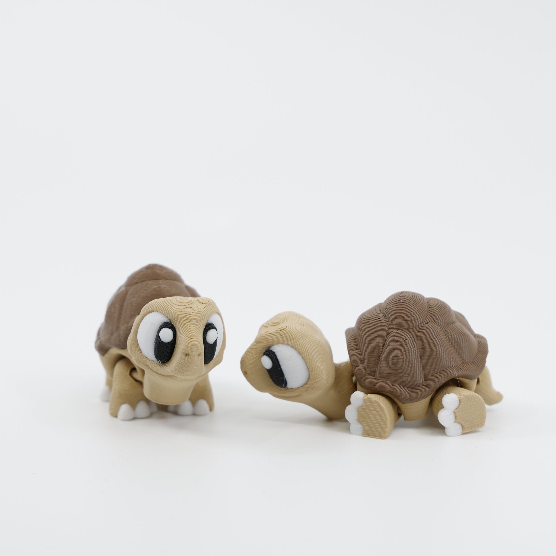 Two mini tortoise fidgets side by side showing different angles of the sensory toy