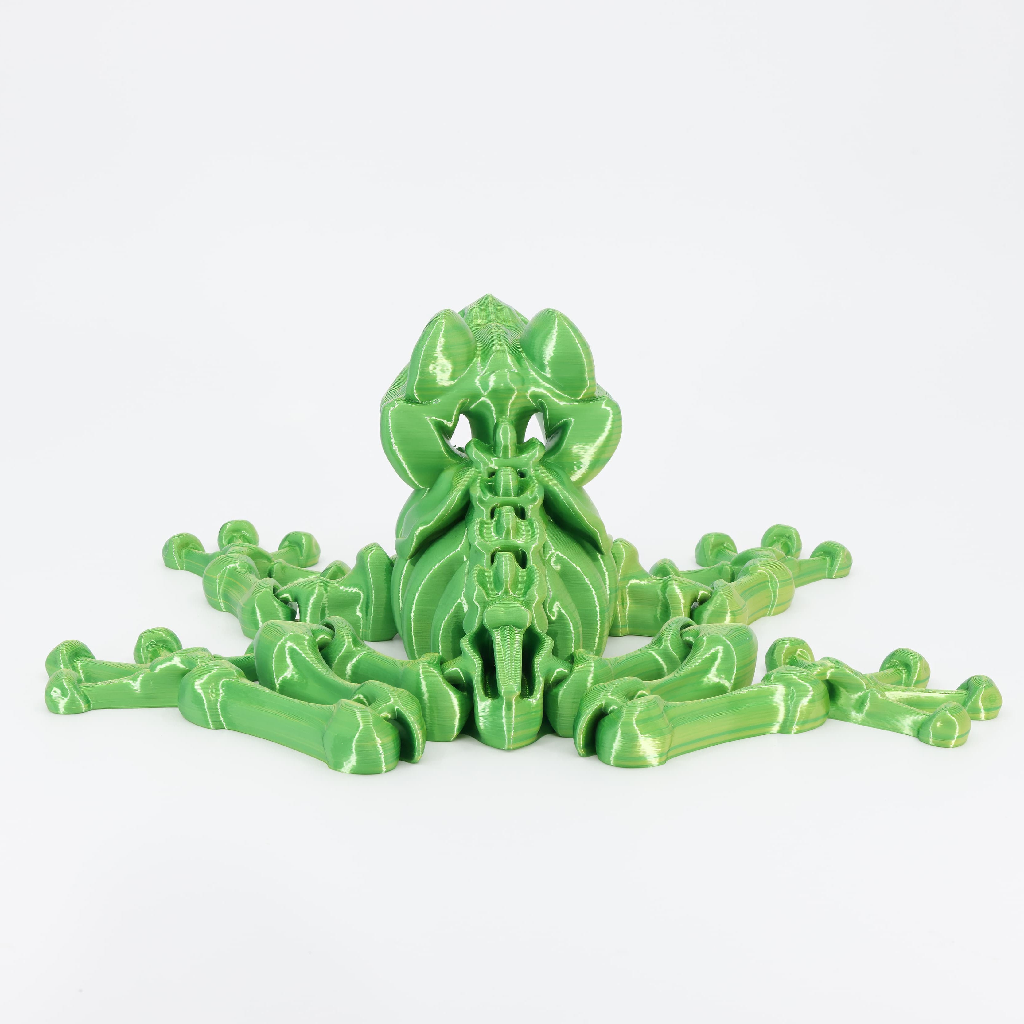 Back detail of the sensory 3D printed frog skeleton, clearly showing the long, folded rear legs designed for full fidget action.