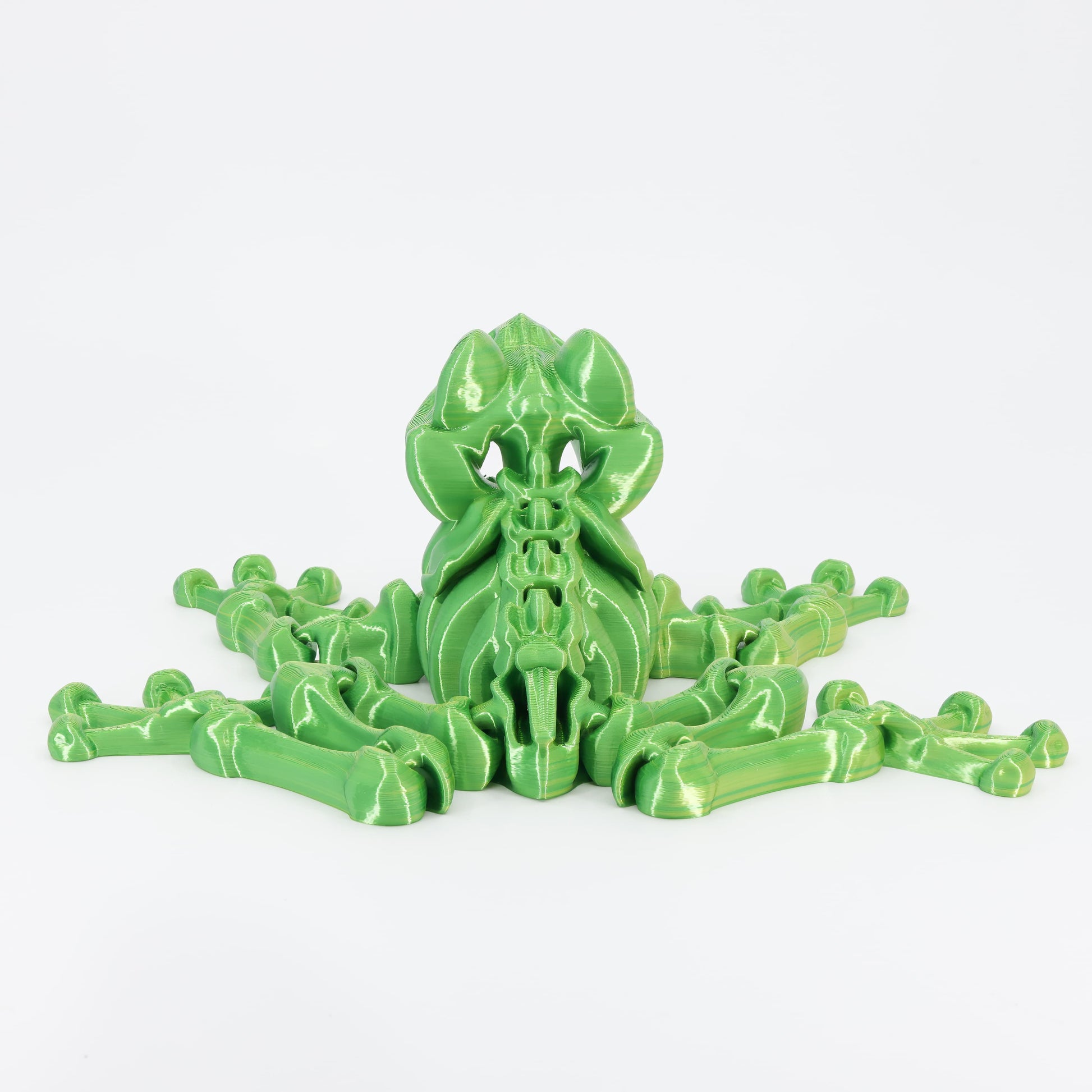 Back detail of the sensory 3D printed frog skeleton, clearly showing the long, folded rear legs designed for full fidget action.