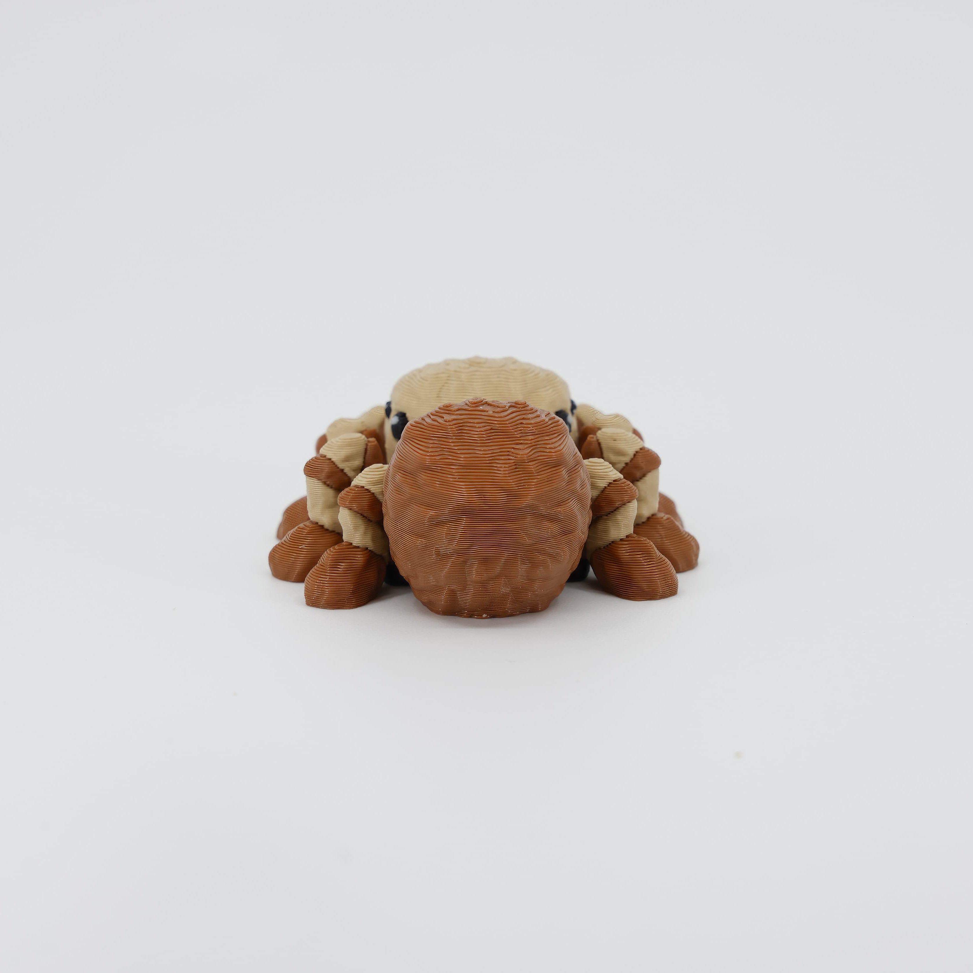 Back detail of the sensory 3D printed mini spider, emphasizing the round abdomen and eight legs designed for fidget play.