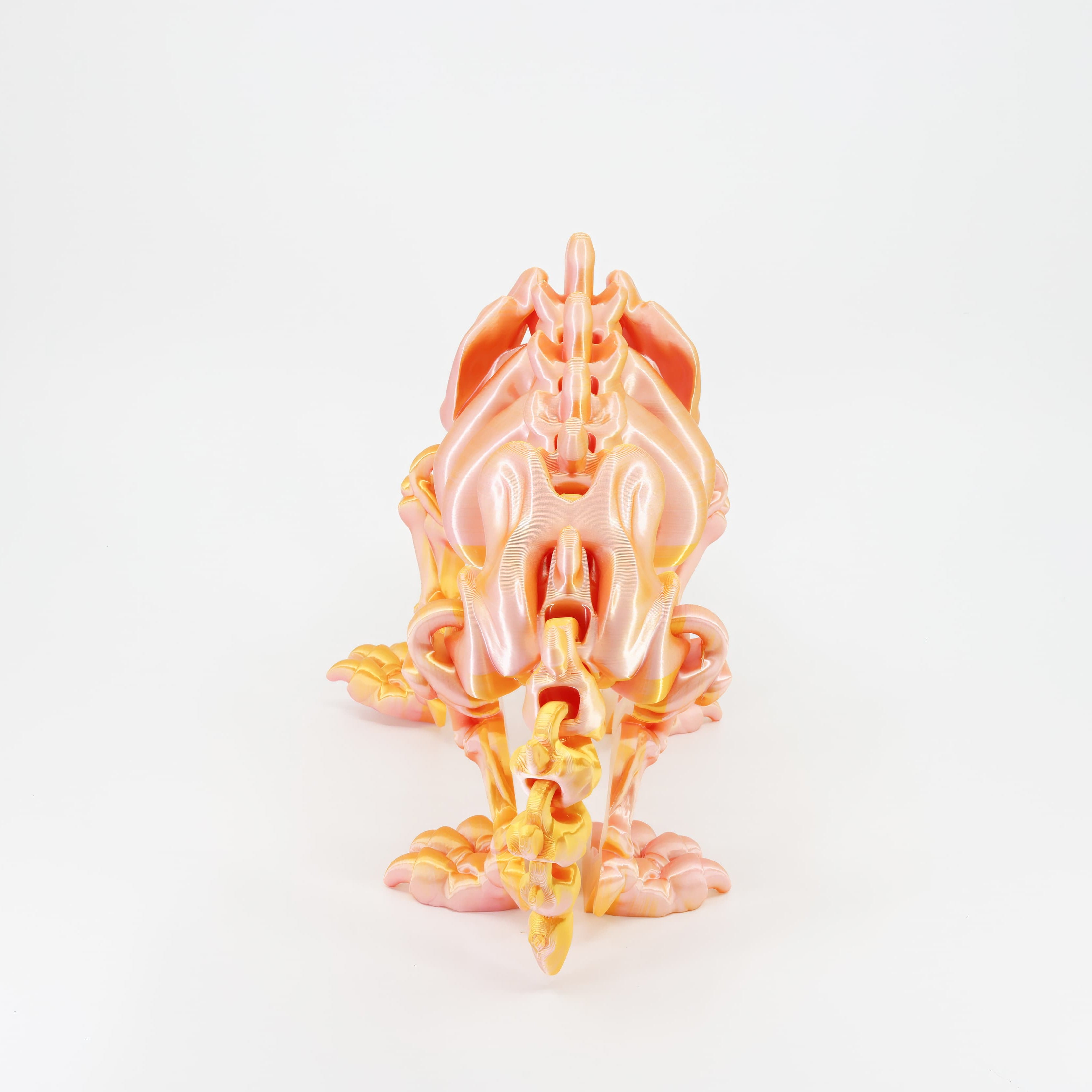 Back detail of the sensory 3D printed sabertooth skeleton, clearly showing the segmented tail designed for full fidget action.