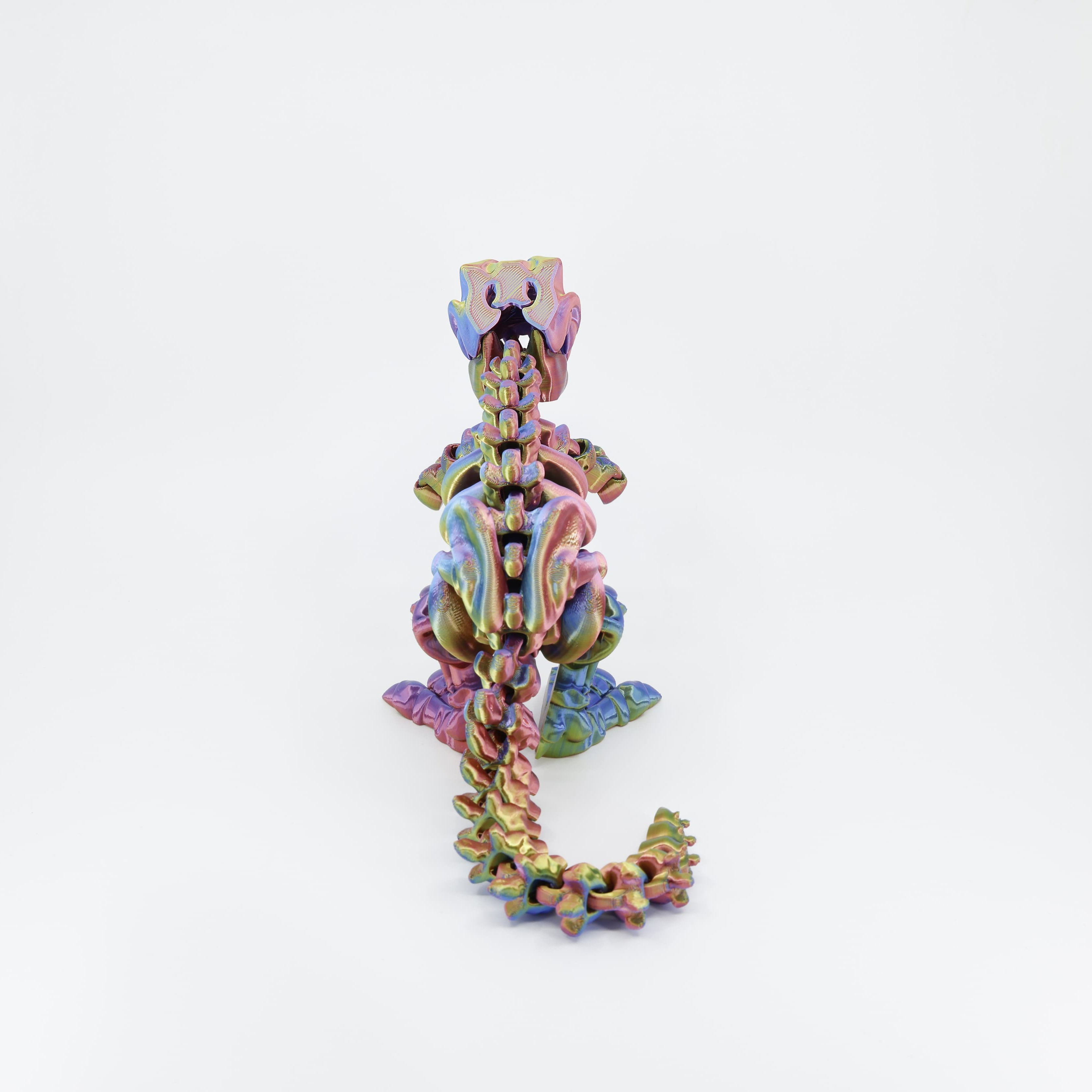 Back view detail of the sensory 3D printed dinosaur skeleton, clearly showing the segmented tail for full flexi movement.